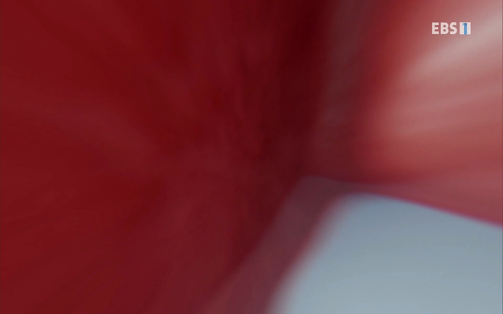 EBS 명의 헬스케어 - TV - 교육의 중심 EBS명의 15년 - 간, 완치에 도전하다.mp4_20220802_202411.496.jpg