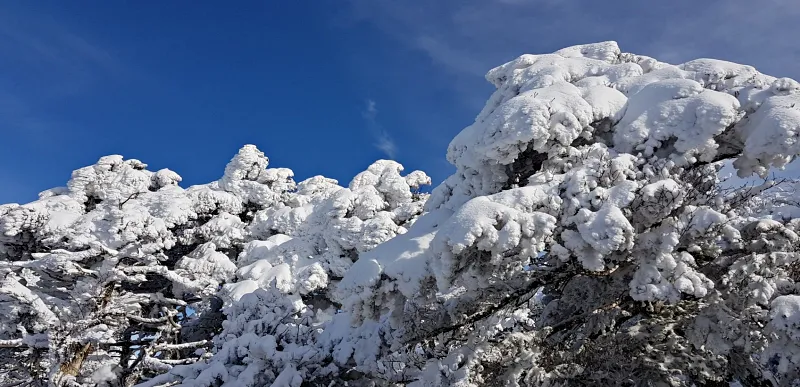 제주 한라산 설경 겨울왕국