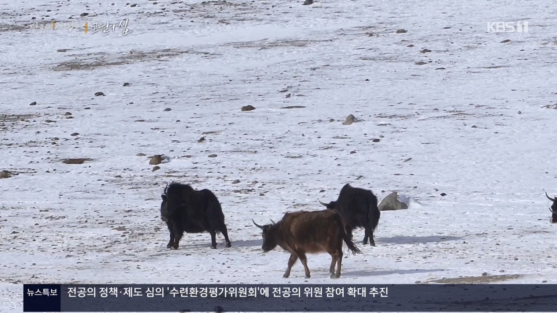 다큐 인사이트.E176.240328p.H264-F1RST.mp4_20240330_162643.191.jpg