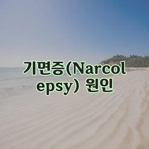 기면증(Narcolepsy) 원인, 증상, 진단 및 치료