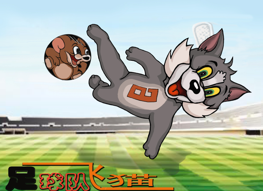  고양이의 축구