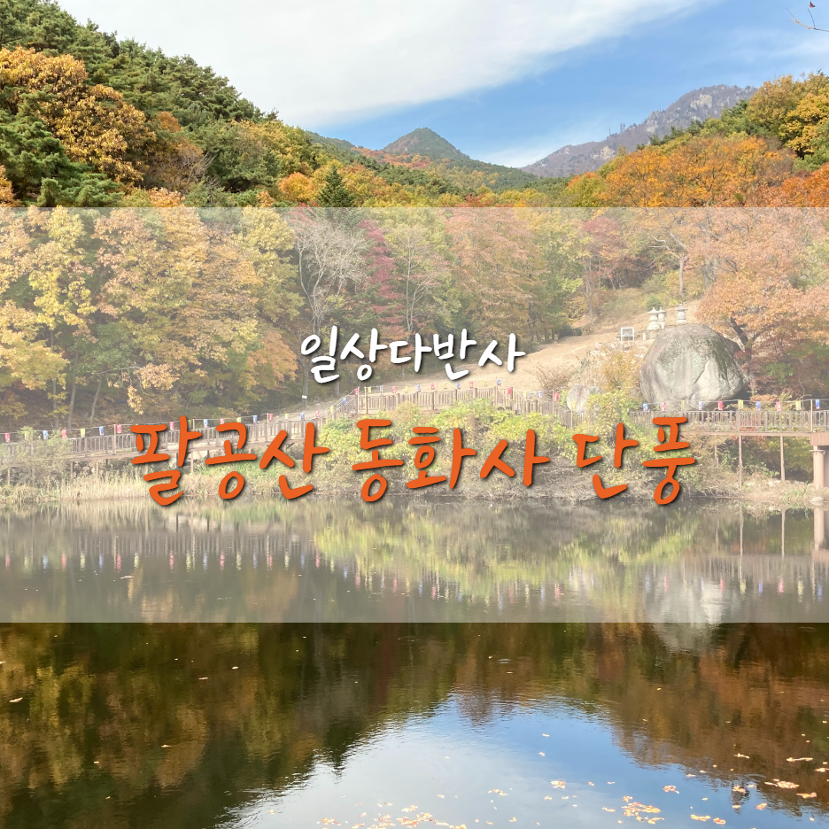  팔공산 동화사 단풍 구경 (가을 단풍 / 승시 / 동화사 / Bay1)