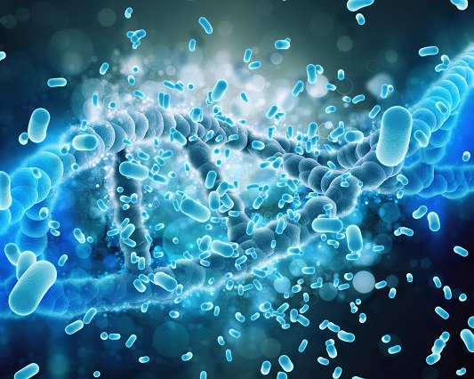 metabolic-enzymes