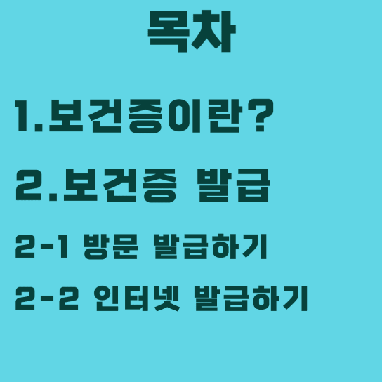 보건증 발급