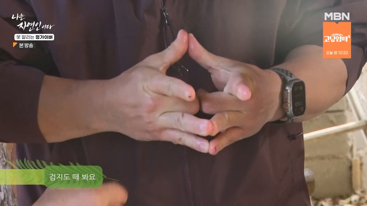 나는 자연인이다.E580.231116p-NEXT.mp4_20231116_200139.059.jpg