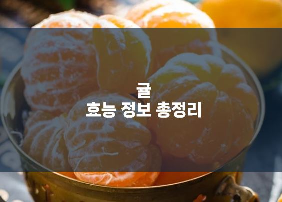 귤 효능 정보 총정리