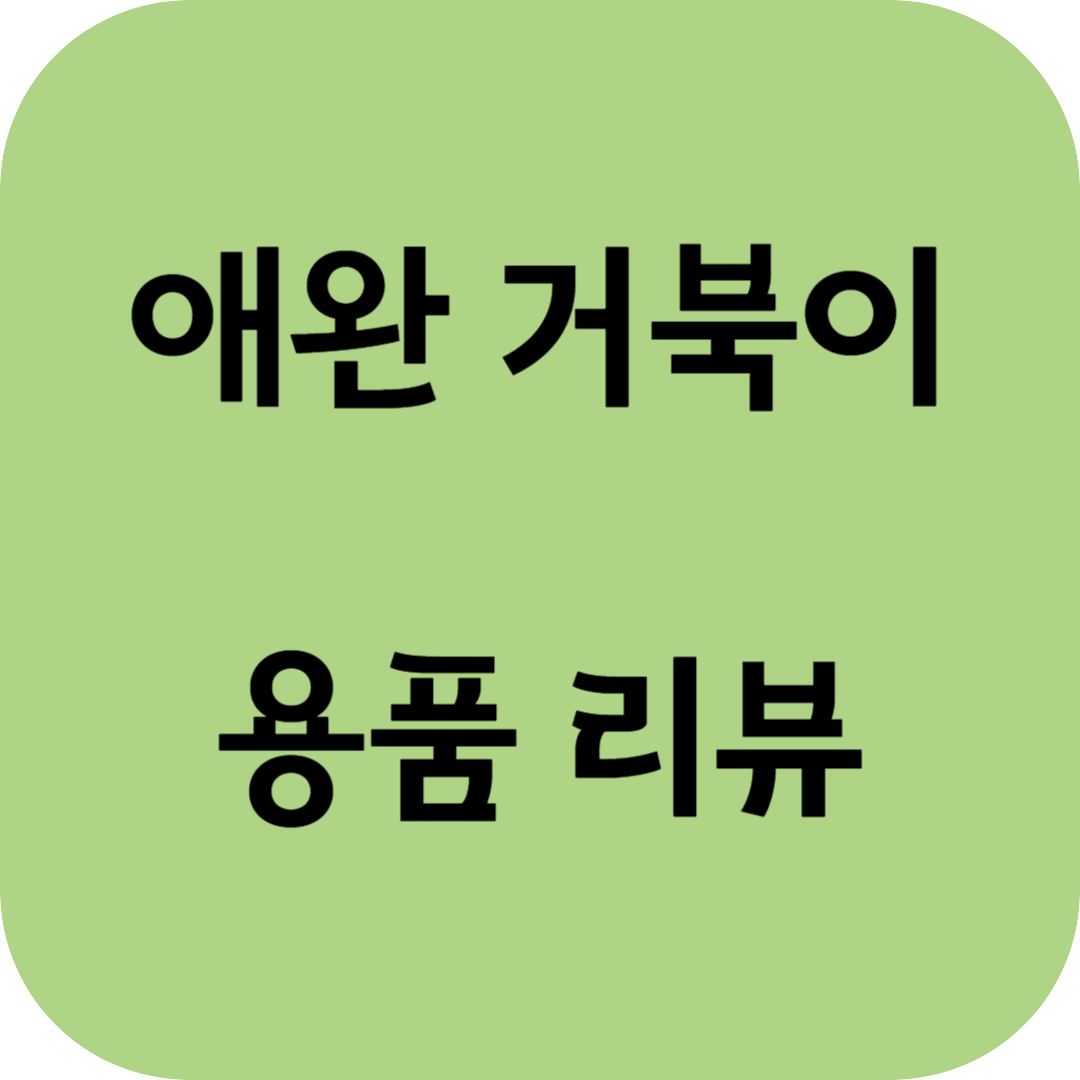  애완 거북이 용품 리뷰