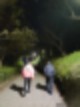 자갈치시장. 모두 싸게는 아니지만 신선함은 보장! (feat. 황령산 봉수대 야경) 부산 볼거리 :: 골라먹는 해산물 축제 15