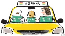 운전 면허&nbsp;도로 교통 공단 안전 운전 통합 민원