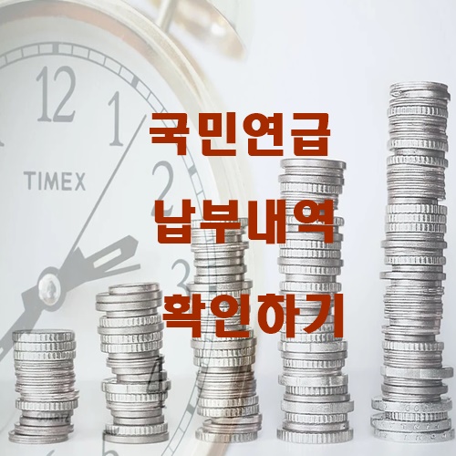  내가 낸 국민 연금 보험 납부내역