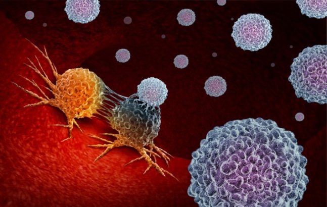면역체계가 암세포에 작용하는 모습을 나타낸 그래픽.