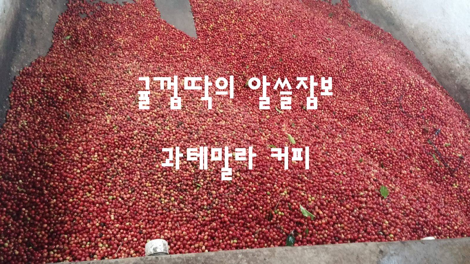  알고마시면 더욱 맛있게 먹는 커피 - 과테말라 커피