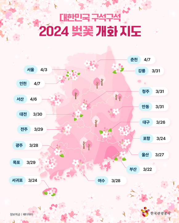 2024년 벚꽃 개화시기 만개시기 꽃세권 꽃놀이 꽃구경 (개나리&#44; 진달래 개화시기)