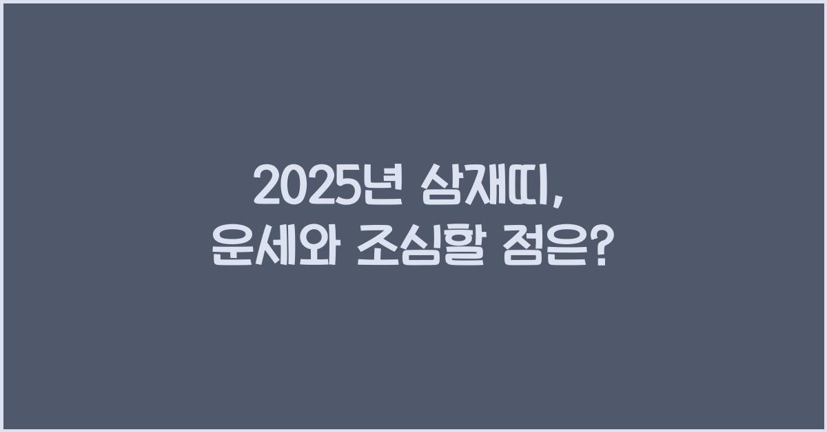 2025년 삼재띠