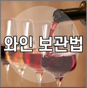 와인보관법 남은와인보관_2