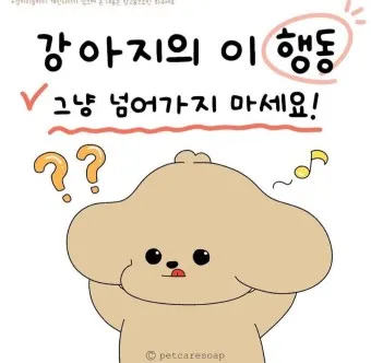강아지 행동별 특징 의미 강아지 신호 해석 방법_3