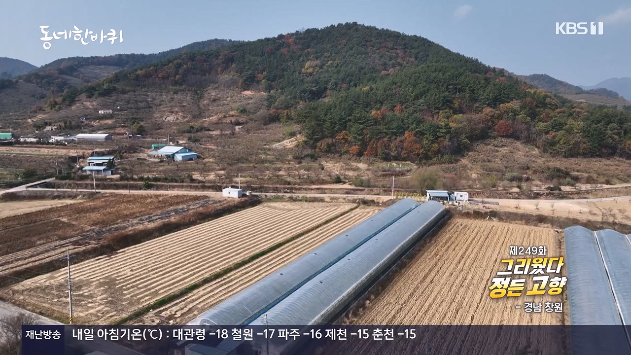 동네 한 바퀴.E252.231217p-NEXT.mp4_20231218_205723.660.jpg