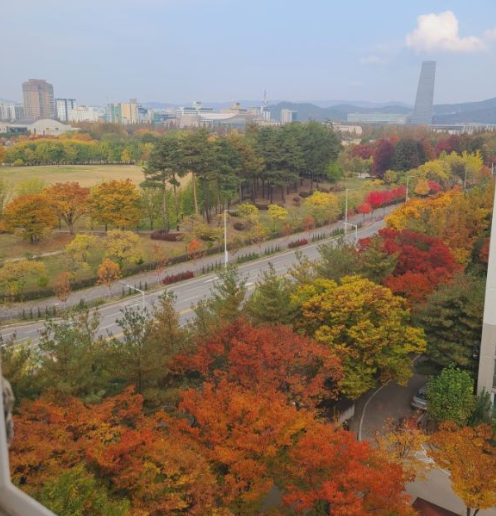 11월 대전 가볼만한곳/국내 가을 갈만한곳 여행지 추천/데이트 여행 가족 나들이 당일치기 무료 볼거리