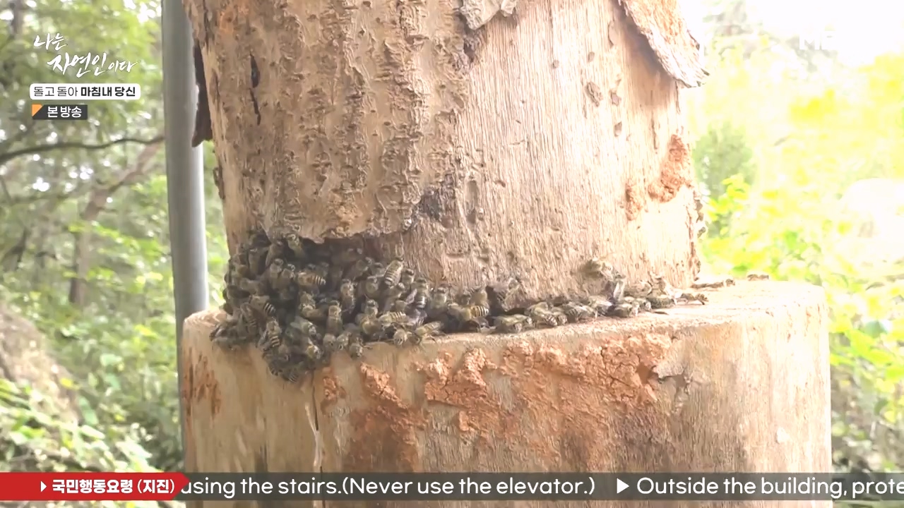 나는 자연인이다.E577.231026p-NEXT.mp4_20231026_200402.357.jpg