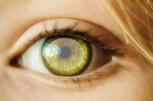  백내장 증상, 나이, 자가진단, 예방 방법(노안)