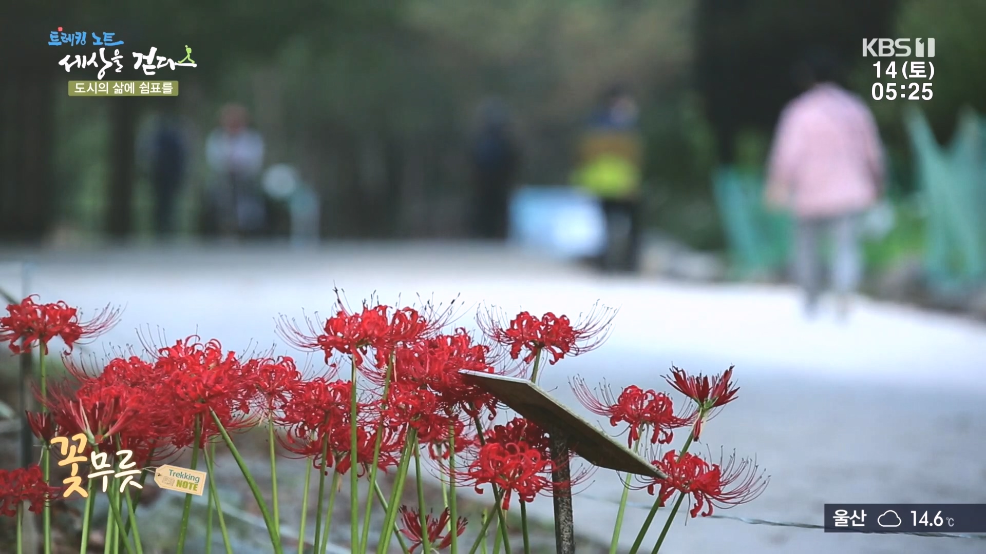 트레킹노트 세상을 걷다.E290.231014p.H264-F1RST.mp4_20231014_175921.263.jpg