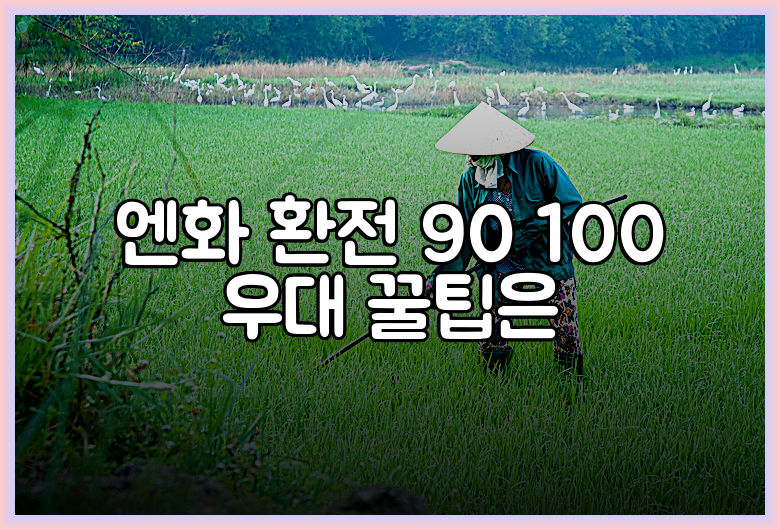 엔화 환전 90 100 우대 꿀팁은