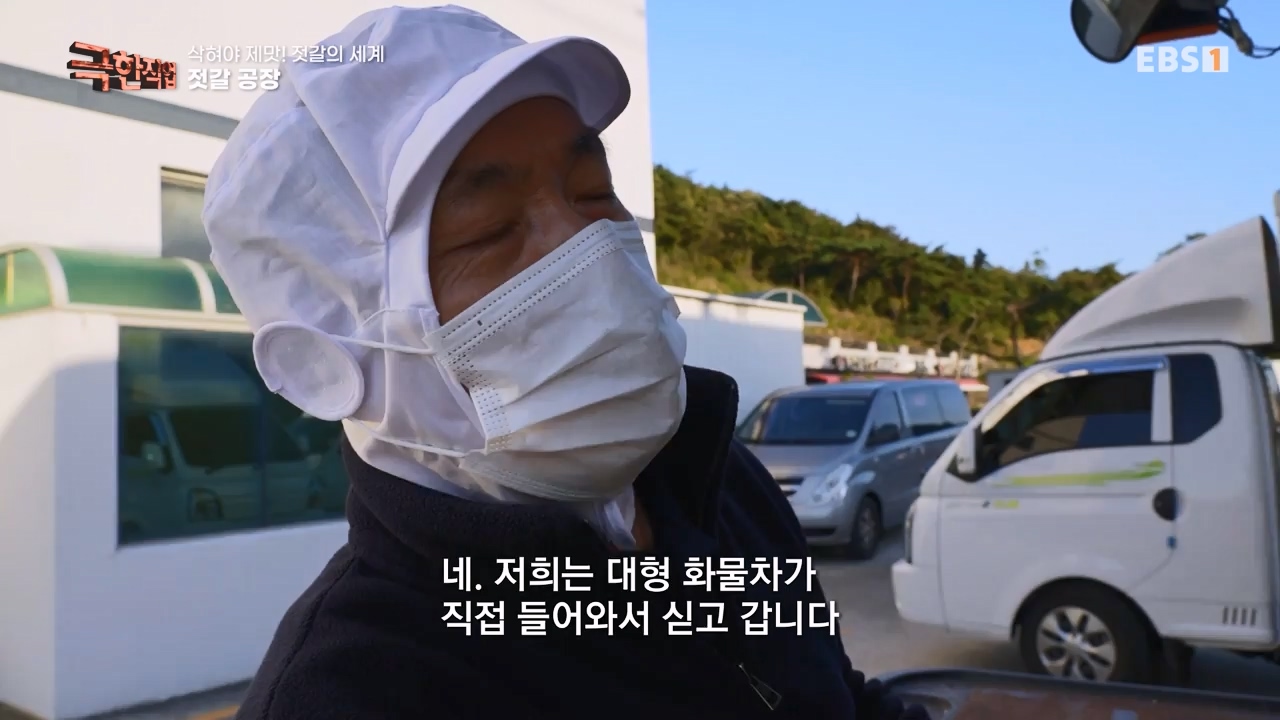 TV - 전 국민의 평생학교 EBS삭혀야 제맛! 젓갈의 세계.mp4_20231125_190849.814.jpg