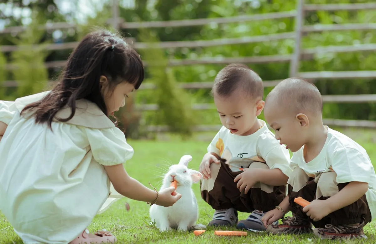 정서적 행복