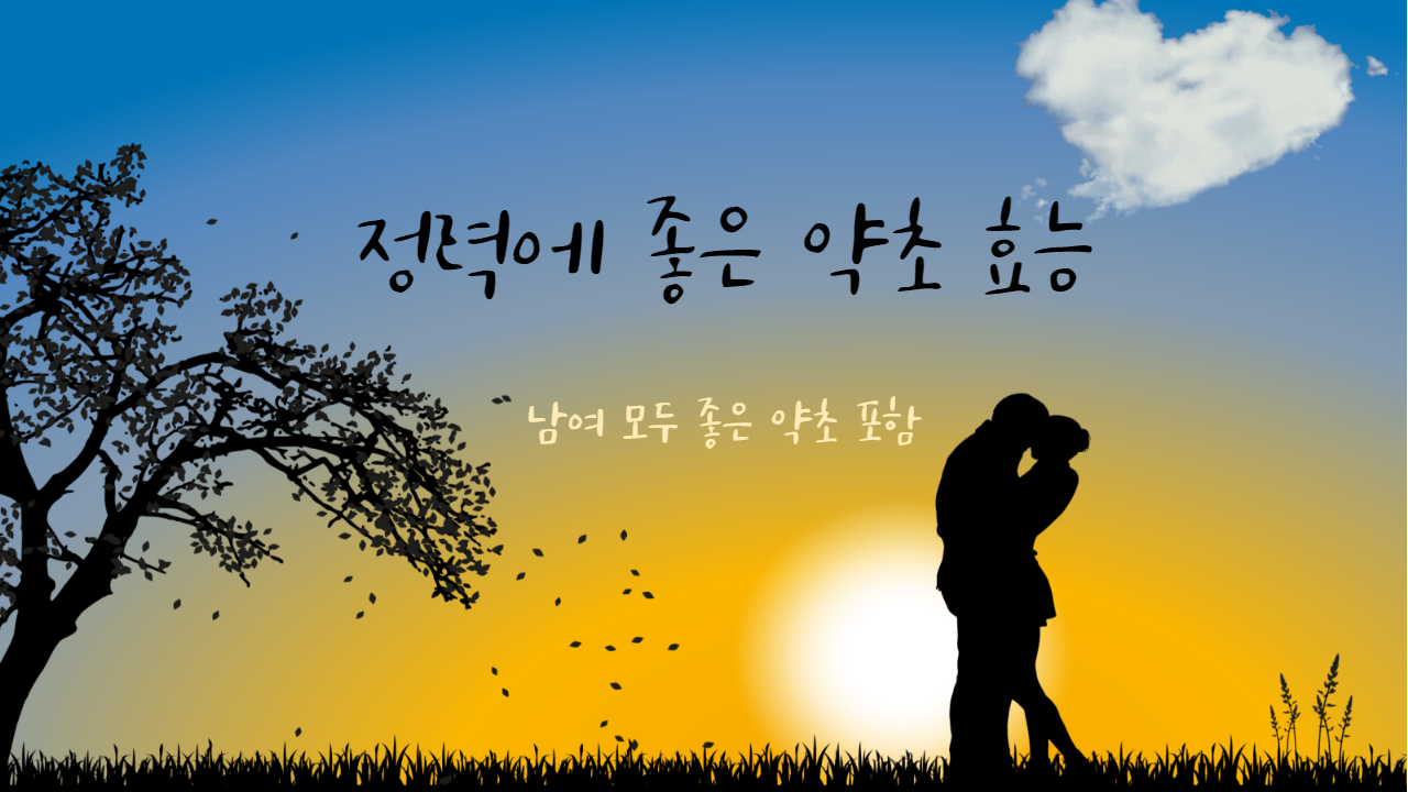  정력에 좋은 약초 효능