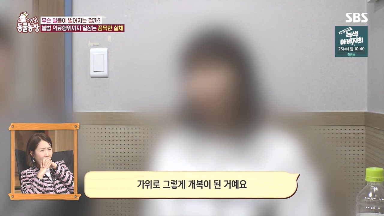 TV 동물농장.E1142.231023p-NEXT.mp4_20231022_172317.544.jpg