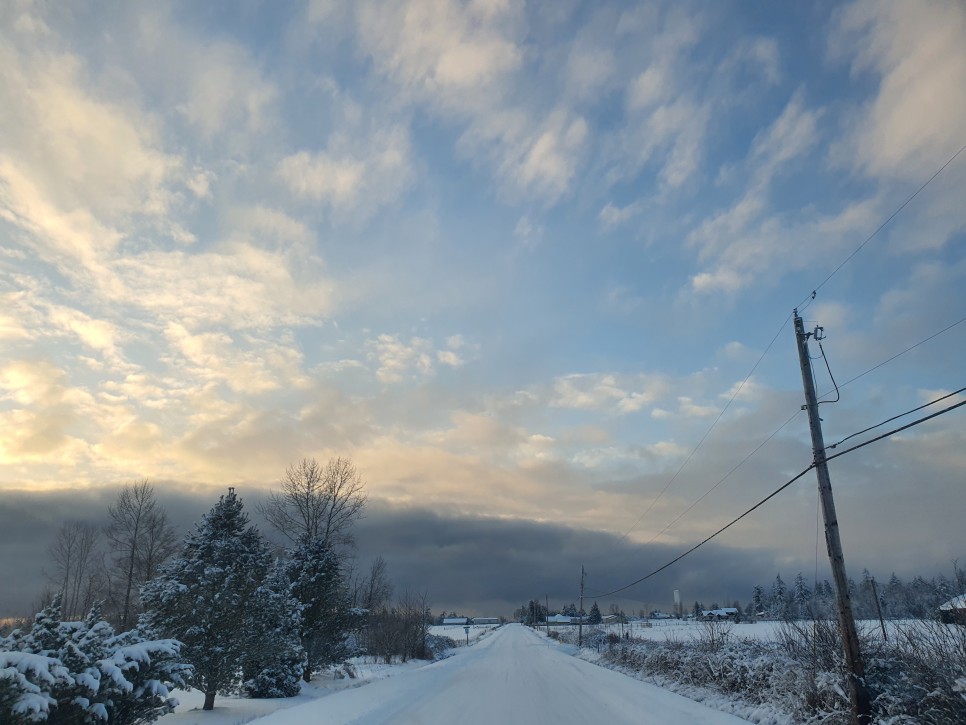 rv RV 카라반 끌고 미국 8