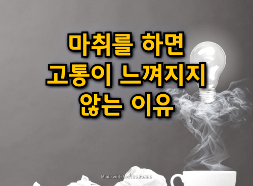  마취를 하면 고통이 안느껴지는 이유