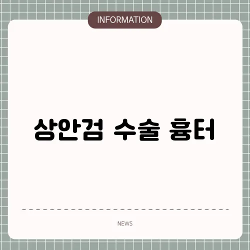 상안검 수술 흉터