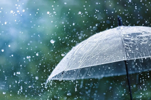  비의 종류 • Rain • 雨