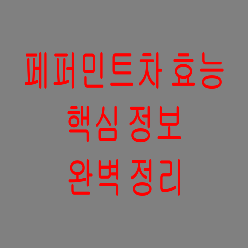  페퍼민트차 효능 제대로 알고 마셔봅시다