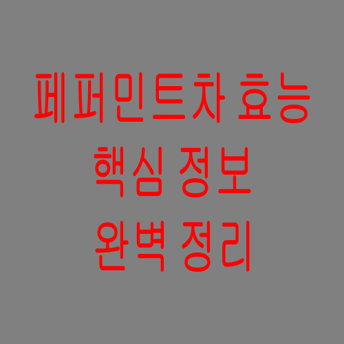 페퍼민트차효능-핵심정보-완벽정리