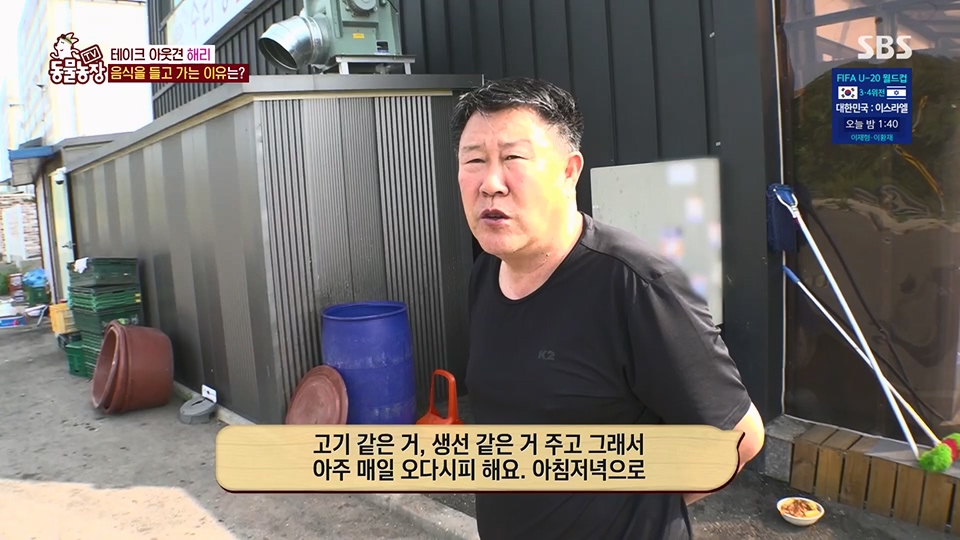 TV 동물농장.E1124.230611p.H264-F1RST.mp4_20230611_173532.893.jpg