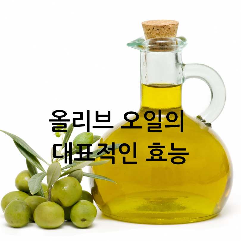 올리브 오일&amp;#44; 레몬즙과 함께 섭취? 올리브 오일 효능은?