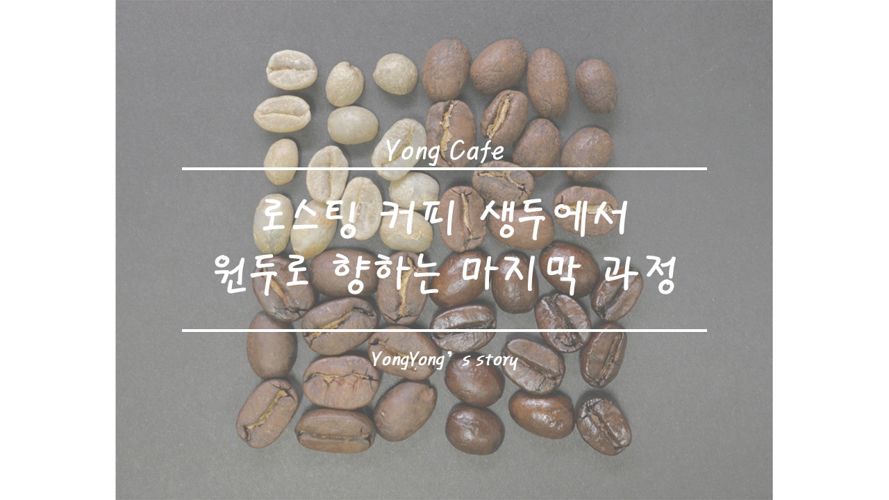 [홈카페] 마지막 생두 볶는 날온두라스, 파나마 생두콩