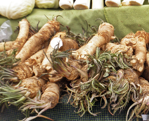 horseradish&#44; 호스래디시&#44; 호스래디시효능&#44; 호스래디스먹는법&#44;호스래디쉬&#44;