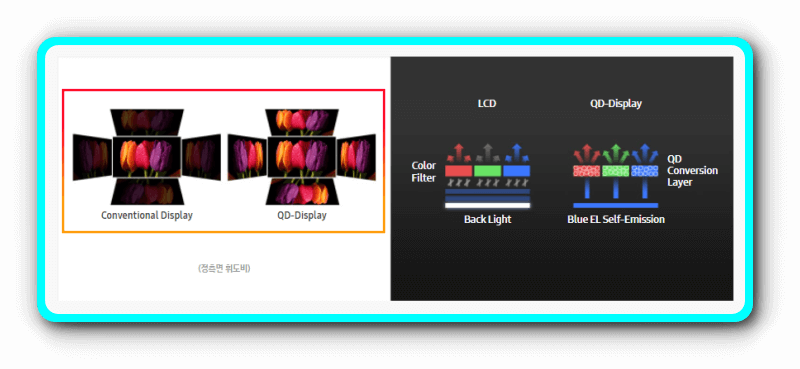 삼성디스플레이 QD-OLED 색감 비교 사진