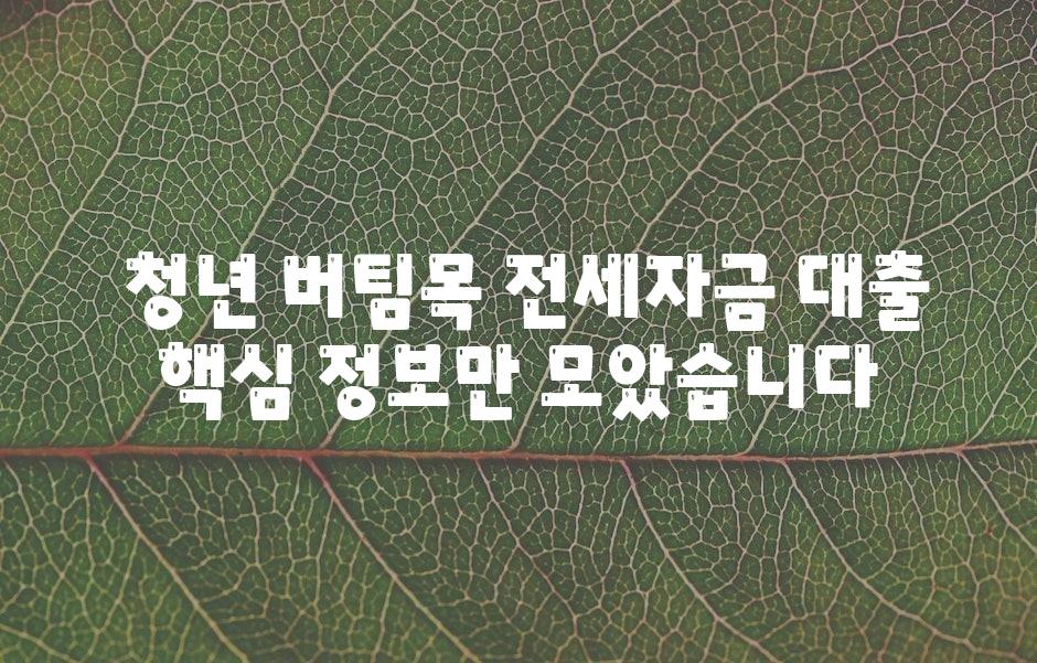  청년 버팀목 전세자금 대출 핵심 정보만 모았습니다