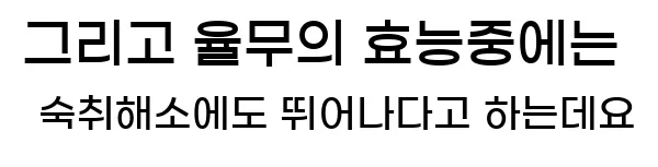  그리고 율무의 효능중에는 숙취해소에도 뛰어나다고 하는데요