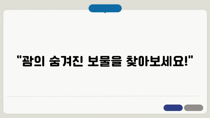 괌 자유여행 3박 4일 추천 루트
