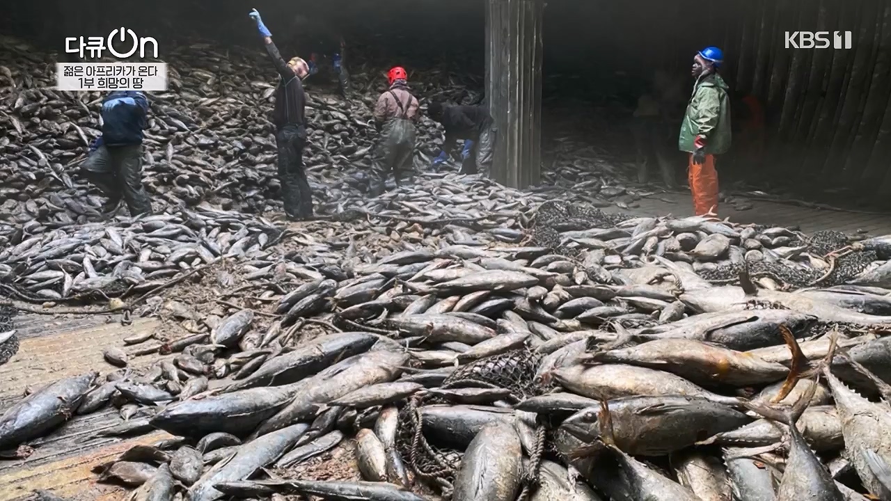 다큐 온.E250.240602p-NEXT.mp4_20240602_152659.777.jpg