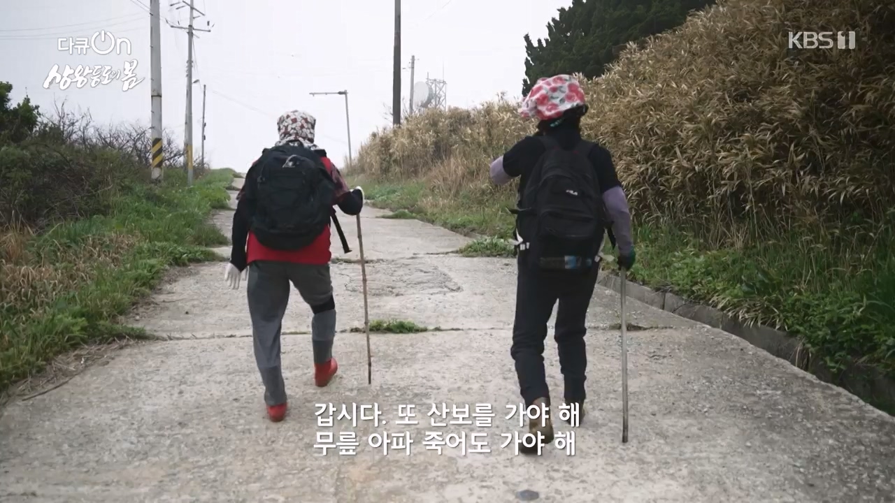 다큐 온.E249.240526p-NEXT.mp4_20240526_152348.550.jpg