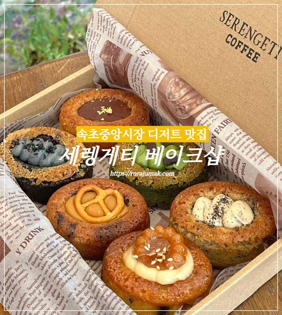표지