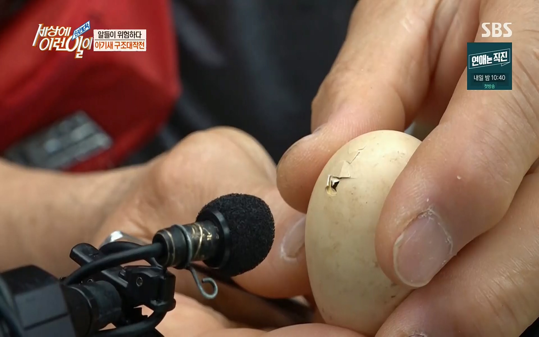 순간포착 세상에 이런일이.E1191.220802p.H264-F1RST.mp4_20220803_202133.963.jpg