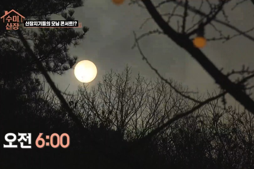 김수미의 새우젓 순두부찌개 레시피 그리고 촬영지까지 모두 공개! 수미산 장비 실체는 비광 : 힐링 버라이어티 속 145