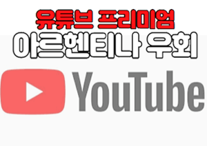  유튜브 프리미엄 아르헨티나 우회하는 방법, 주소 입력